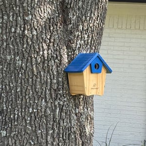 Genesis10 In Our Communities