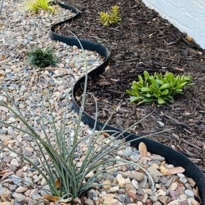 Genesis10 In Our Communities