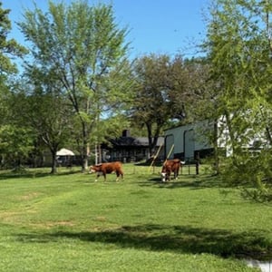 Genesis10 In Our Communities