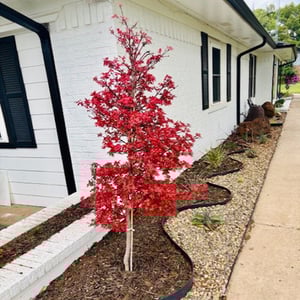 Genesis10 In Our Communities