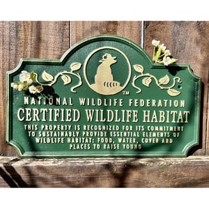 Genesis10 In Our Communities