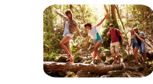 Dev10 Image - Walking Log